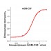 rhGM-CSF, гранулоцитарно-макрофагальный колониестимулирующий фактор человека, рекомбинантный белок, 10 мкг