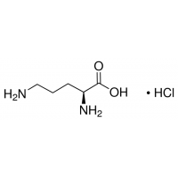 Орнитина-L гидрохлорид, для биохимии, AppliChem, 100 г