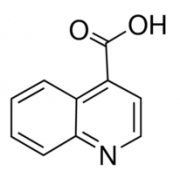Хинолин-4-карбоновая кислота, 97%, Maybridгe, 1г