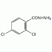 2,4-Dichlorobenzhydrazide, 97%, Alfa Aesar, 1g