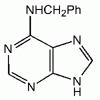 Купить 6-бензиламинопурин, 99%, Acros Organics, 25г в компании Реарус