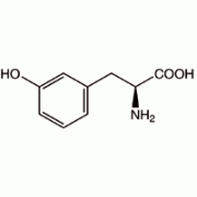 Lm-тирозин, 97 +%, Alfa Aesar, 1 г