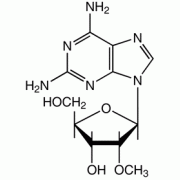 2-амино-2'-O-метиладенозина, 99%, Alfa Aesar, 1g