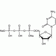 2'-дезоксицитидин-5'-трифосфат динатриевая соль, Alfa Aesar, 250 мг