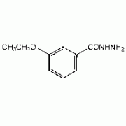 3-Ethoxybenzhydrazide, 98%, Alfa Aesar, 5 г