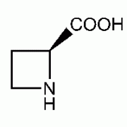 (S) - (-)-азетидин-2-карбоновой кислоты, 99%, Alfa Aesar, 50 мг