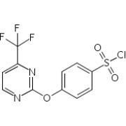 4 - (4-трифторметил-2-пиримидинилокси) бензолсульфонил хлорид, 95%, Alfa Aesar, 1g