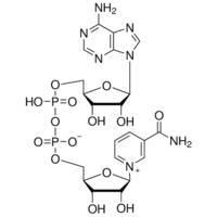 ^ Б-Никотинамидадениндинуклеотид, 98 +%, Alfa Aesar, 25г