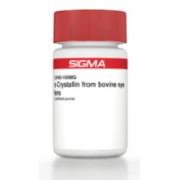 α-Crystallin from bovine eye lens lyophilized powder Sigma C4163