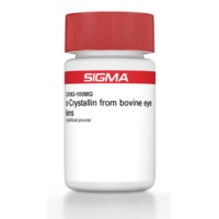 β<SUB>L</SUB>-Crystallin from bovine eye lens Sigma C5163