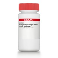 α-Chymotrypsinogen A from bovine pancreas essentially salt-free, lyophilized powder Sigma C4879