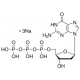 2′-Deoxyguanosine 5′-triphosphate trisodium salt solution 100 mM (pH 7) Sigma D5038