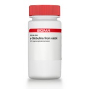 γ-Globulins from rabbit ≥99% (agarose gel electrophoresis) Sigma G2018