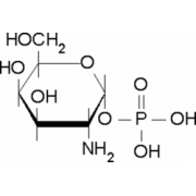 α-<SC>D</SC>-Galactosamine 1-phosphate ~95%, powder Sigma G5134