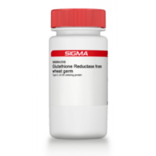 sigma glutathione reductase Buy Anti Brightening Kit main image 1
