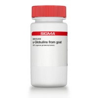 γ-Globulins from goat ≥99% (agarose gel electrophoresis) Sigma G9513
