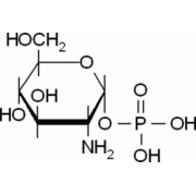 α-<SC>D</SC>-Glucosamine 1-phosphate Sigma G9753