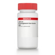 β-Lactoglobulin from bovine milk ≥90% (PAGE), lyophilized powder Sigma L3908