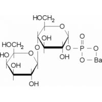 α-Lactose 1-phosphate barium salt powder Sigma L9628