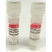 Обратной транскриптазы, мышиные, мышиного лейкоза Молони Вирус, Alfa Aesar, 10 kilouni