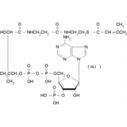 β-Methylcrotonyl coenzyme A lithium salt ≥90% Sigma M3013