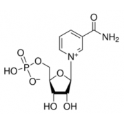 β-Nicotinamide mononucleotide 95-100% (HPLC) Sigma N3501