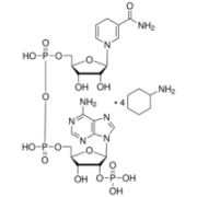 β-Nicotinamide adenine dinucleotide phosphate, reduced tetra(cyclohexylammonium) salt ≥95% Sigma N5130