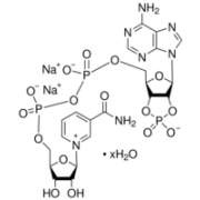β-Nicotinamide adenine dinucleotide 2′:3′-cyclic monophosphate disodium salt hydrate ≥95% Sigma N5257