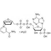 β-Nicotinamide adenine dinucleotide phosphate hydrate Sigma N5755
