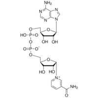 α-Nicotinamide adenine dinucleotide from <I>Saccharomyces cerevisiae</I>, <1% β-isomer, ≥95% Sigma N6754