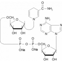 α-Nicotinamide adenine dinucleotide, reduced disodium salt ≥90% Sigma N6879