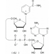 β-Nicotinamide adenine dinucleotide lithium salt from <I>Saccharomyces cerevisiae</I> ≥95% Sigma N7132