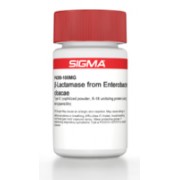 β-Lactamase from <I>Enterobacter cloacae</I> Type III, lyophilized powder, 6-18 units/mg protein (using benzylpenicillin) Sigma P4399
