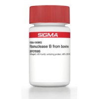 Ribonuclease B from bovine pancreas BioReagent, ≥50 Kunitz units/mg protein, ≥80% (SDS-PAGE) Sigma R7884