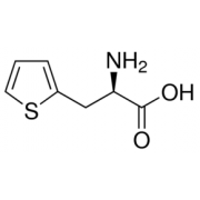 β-(2-Thienyl)-<SC>D</SC>-alanine Sigma T8910